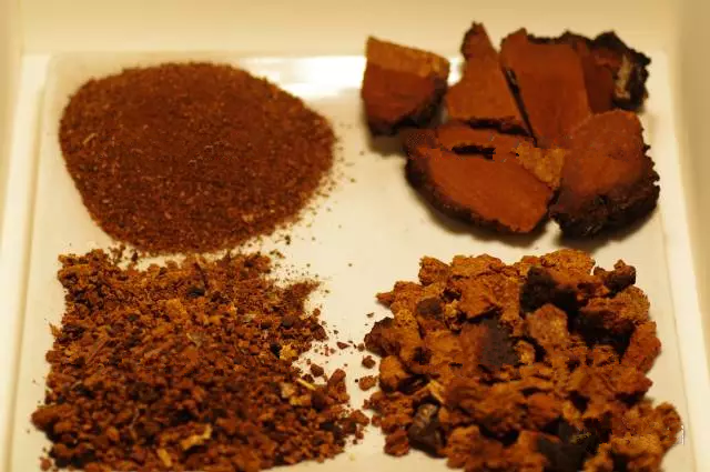 白桦茸原料 (4).bmp