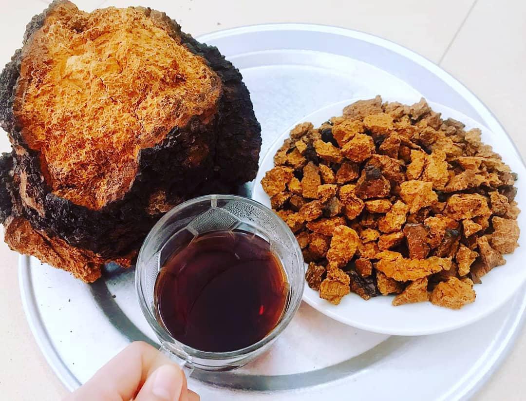白桦茸茶