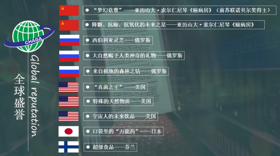 白桦茸