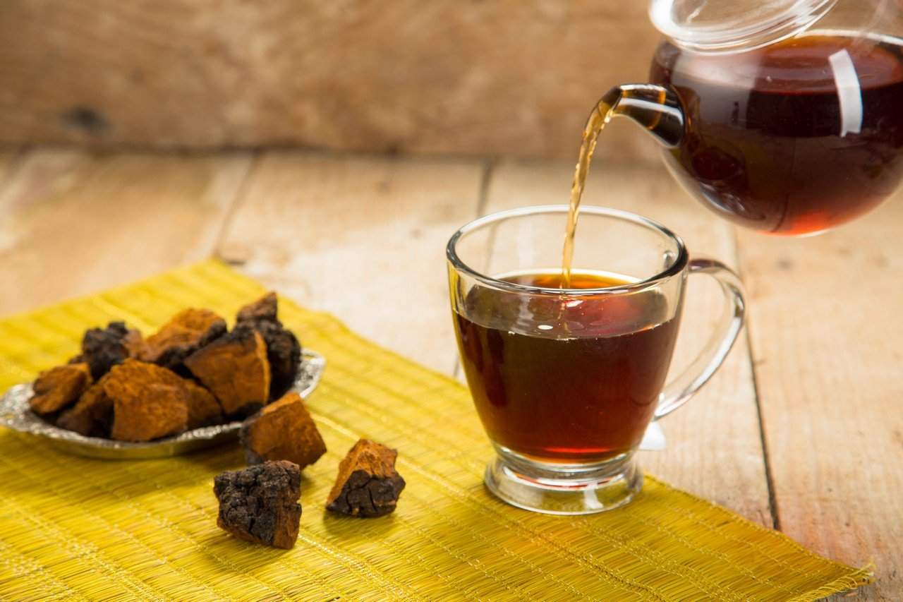 白桦茸