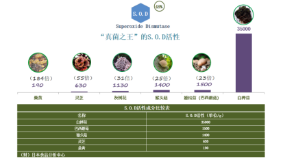 美肌秘籍“冻龄琥珀”：白桦茸中的抗氧化成分如何对抗岁月痕迹